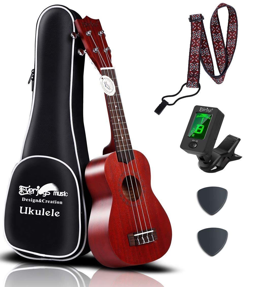 Ukulele in mogano soprano - 21 pollici professionale con custodia sintonizzatore Aquila stringhe EVUKP01