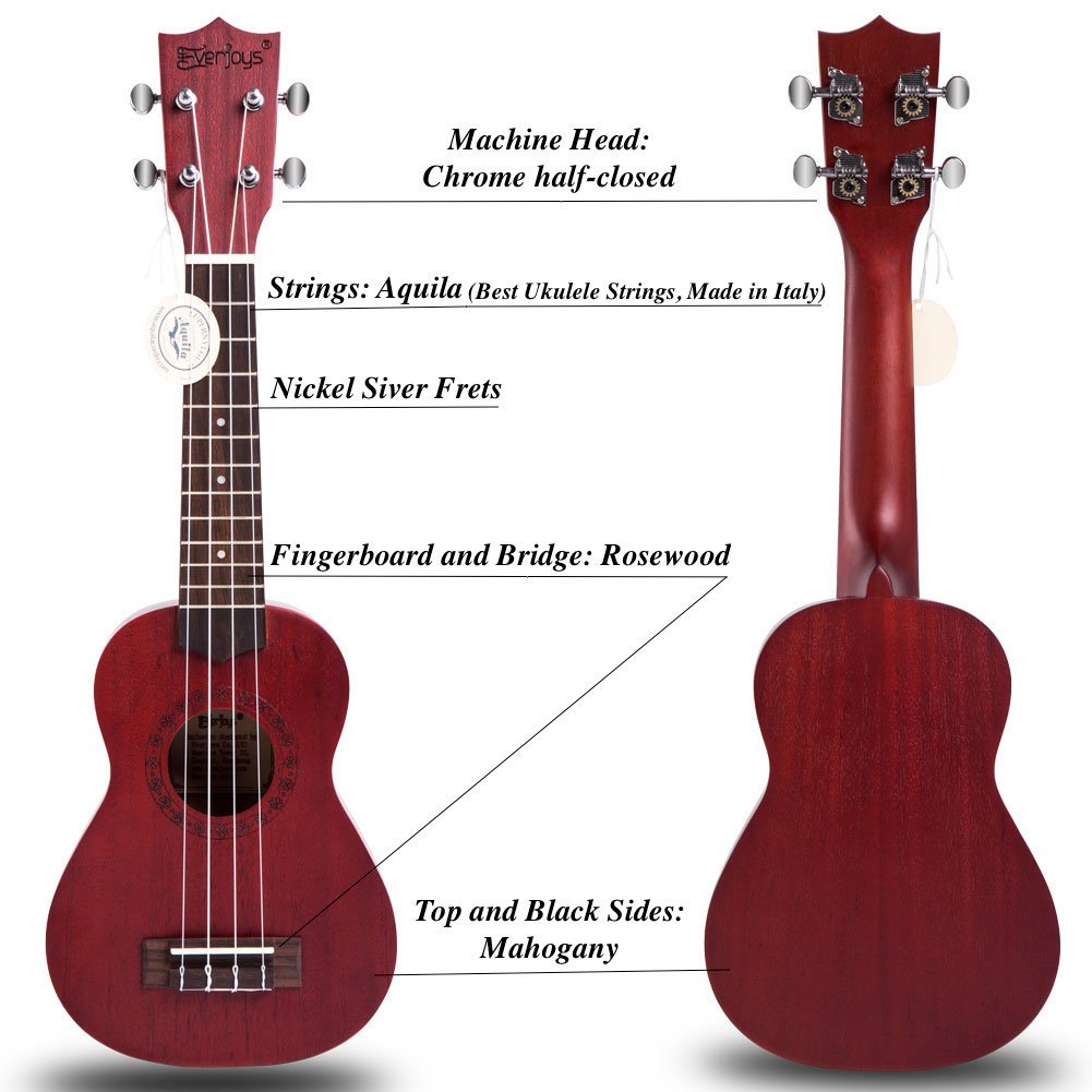 Ukulele in mogano soprano - 21 pollici professionale con custodia sintonizzatore Aquila stringhe EVUKP01